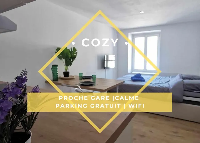 Le Nid Cozy A 2 Pas De La Gare St-Die - Wifi - Calme