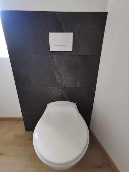 Le Nid Cozy A 2 Pas De La Gare St-die - Wifi - Calme Apartment